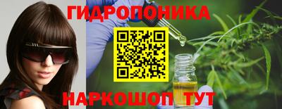 дмт Будённовск