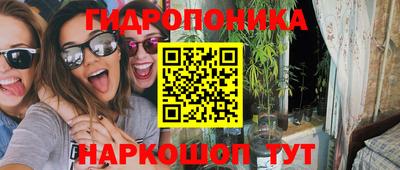 дмт Будённовск