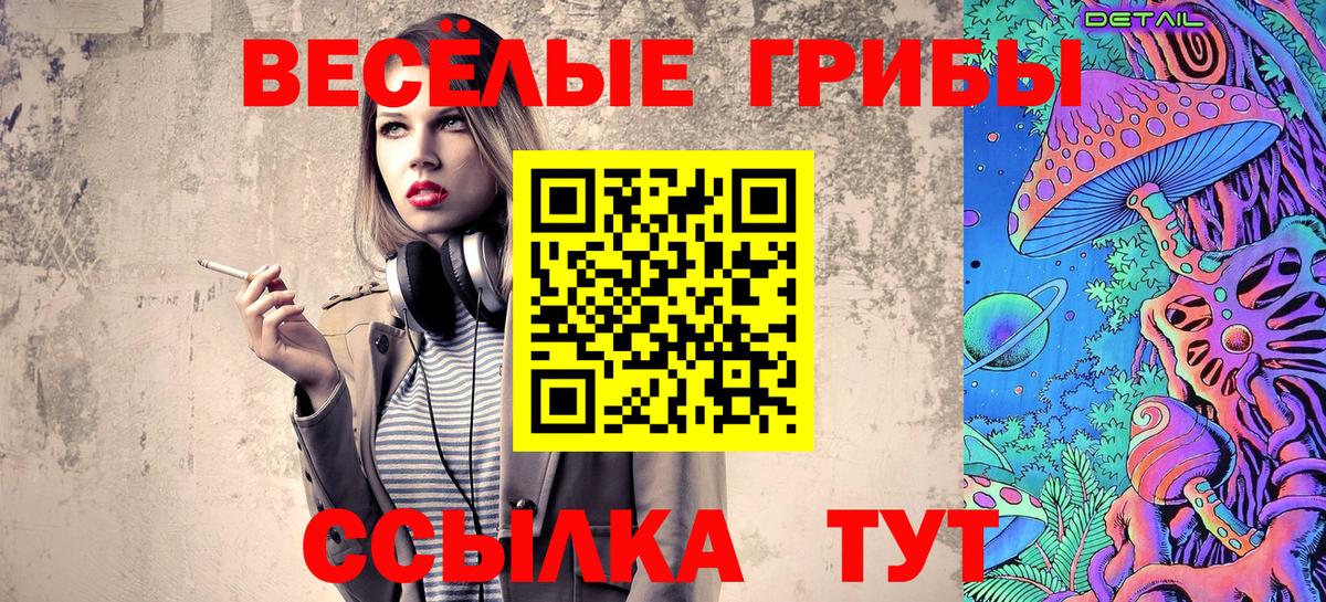 Галлюциногенные грибы Psilocybe Челябинск