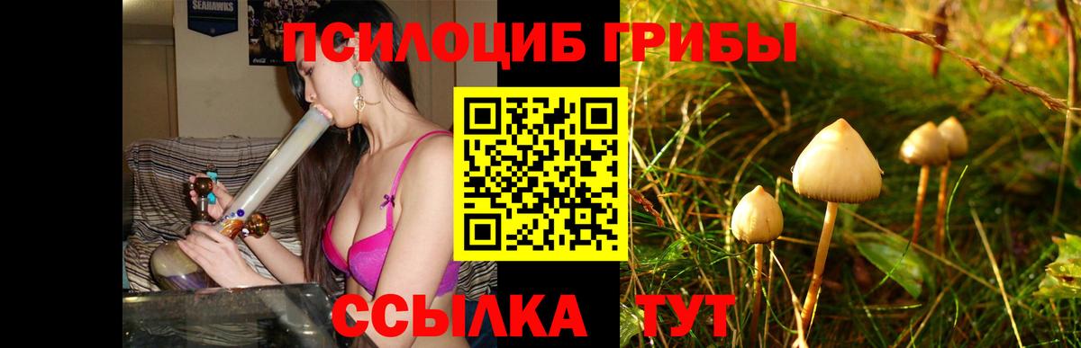 Челябинск  Псилоцибиновые грибы ЛСД  наркошоп  Вход с VPN 